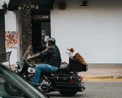 llevar-a-un-perro-en-moto|perro en moto