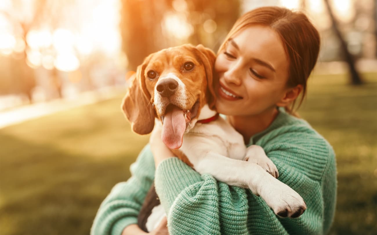 regalos para perros navidad