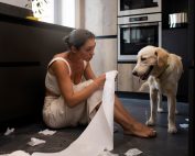 perros que orinan en casa