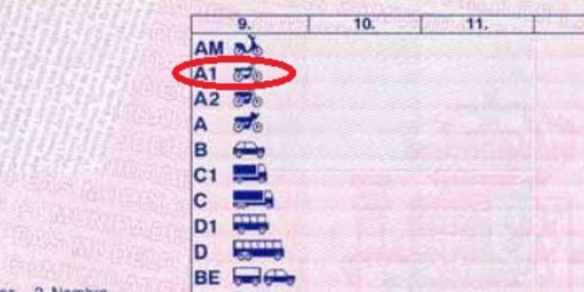 carnet con 17 años 3