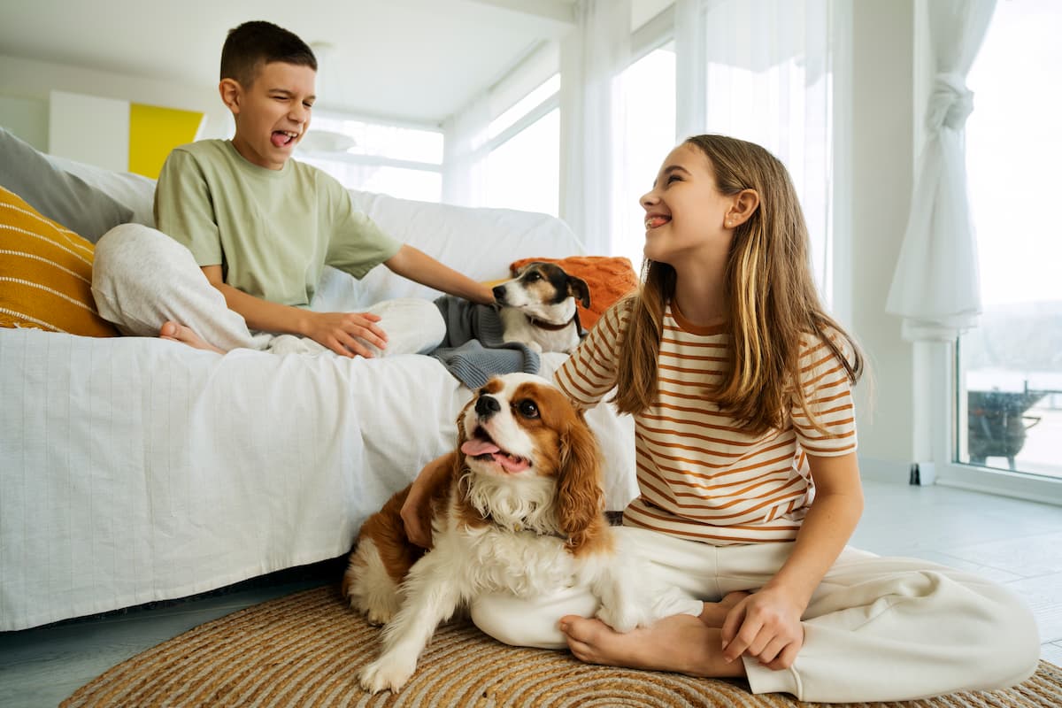 beneficios de tener perro