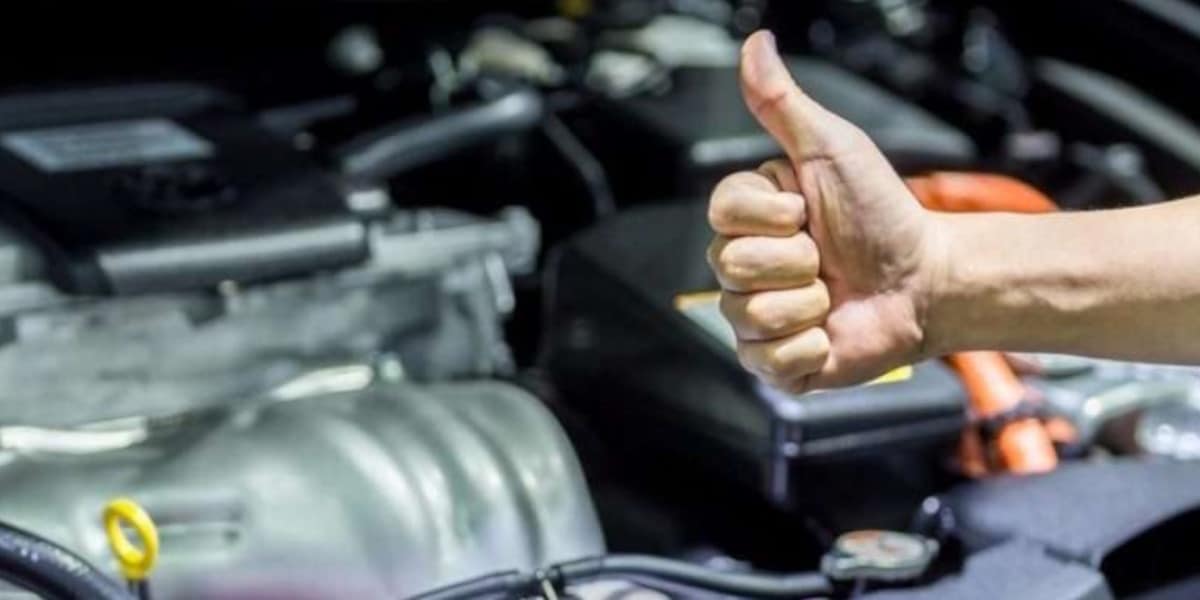 llevar coche al desguace 5